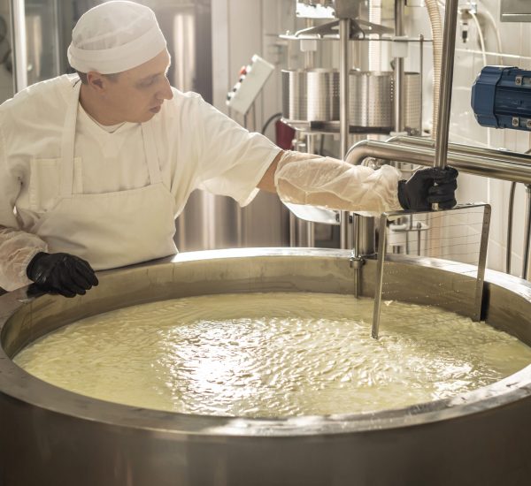 A man is a cheese maker in the process of producing different varieties of cheese in the industry. Concept of natural milk cheese making as a business